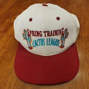 Vintage MLB Genuine Merchandise Snapback Hat
